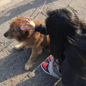 黄涉应用网站在线观看
