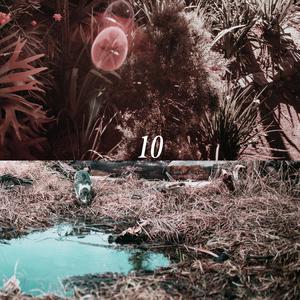 黄涉应用网站在线观看
