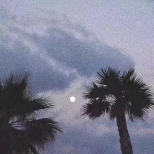 黄涉应用网站在线观看
