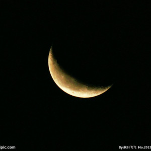 黄涉应用网站在线观看
