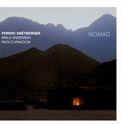 黄涉应用网站在线观看
